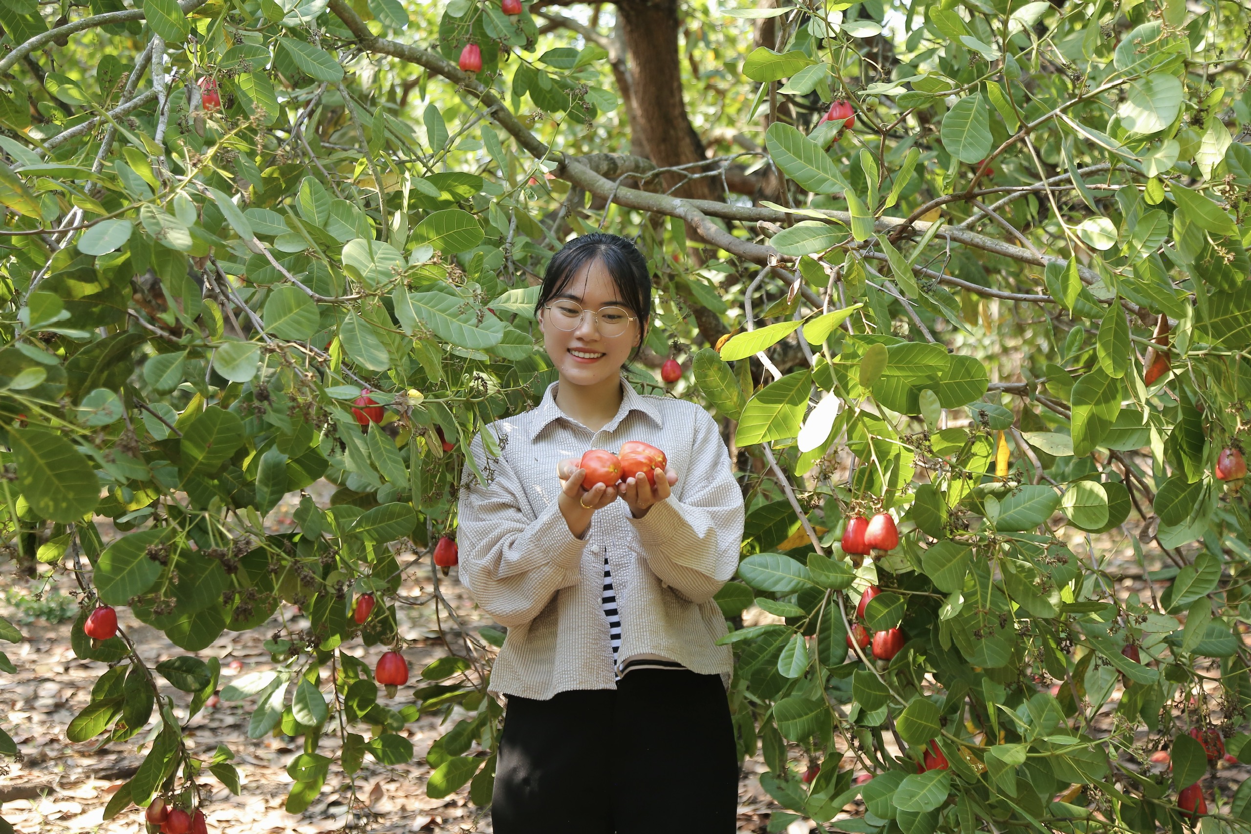 Ngô Thị Thiên Thảo – người sáng lập Thuận Thiên tại vườn điều Bình Phước